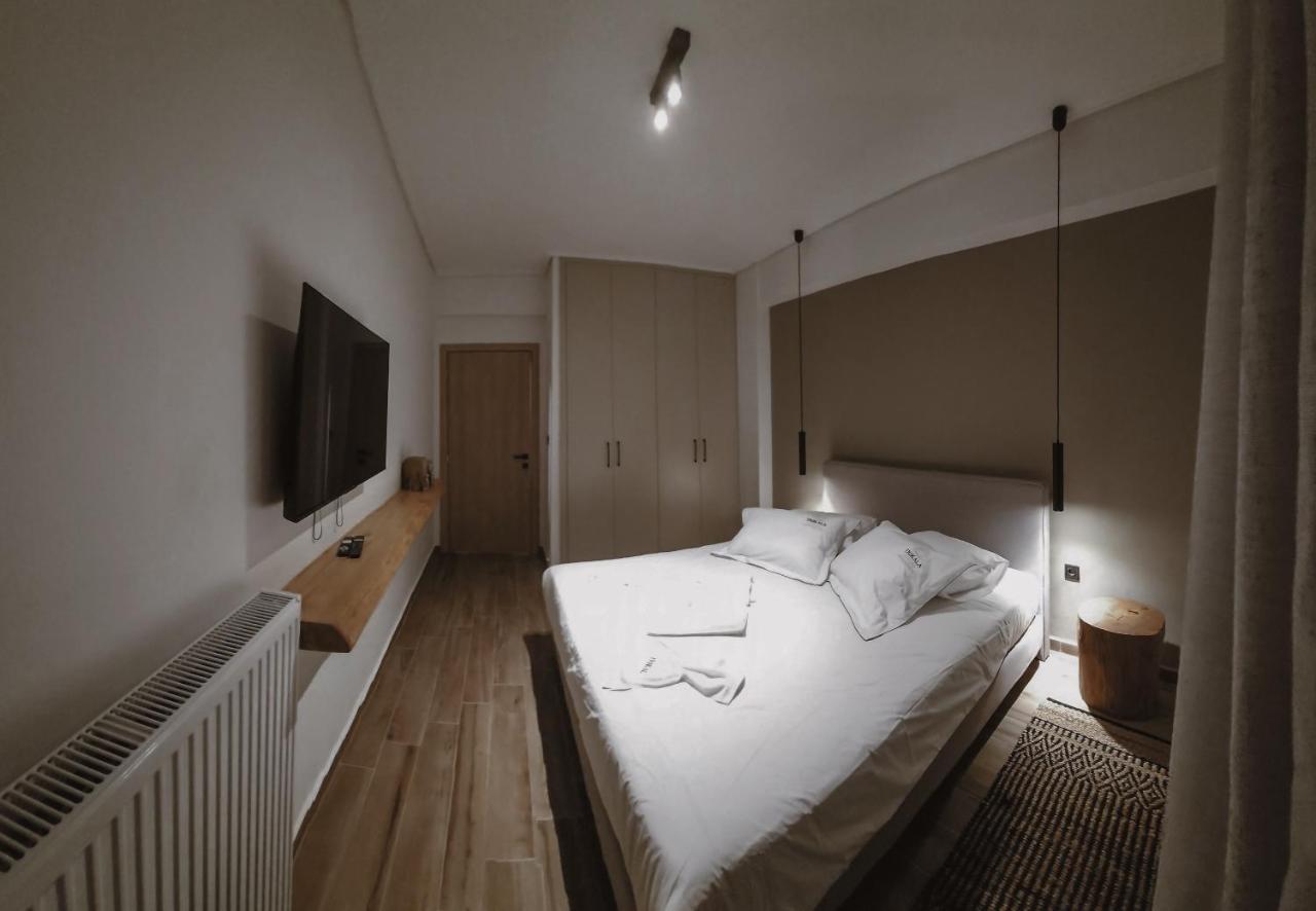 Lounge Apartment Trikala (Thessaly)